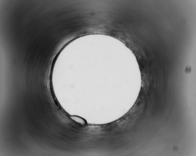 X0000103420052200810241044