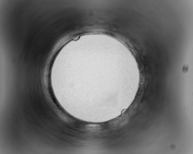 X0000103420053200810241044