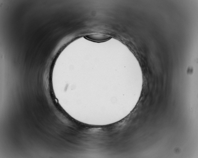X0000103420054200810241044