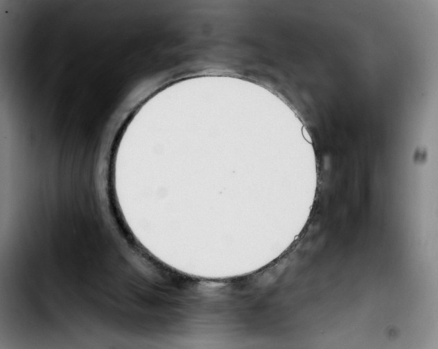 X0000103420055200810241044