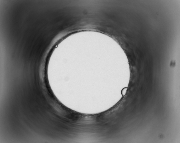 X0000103420056200810241044