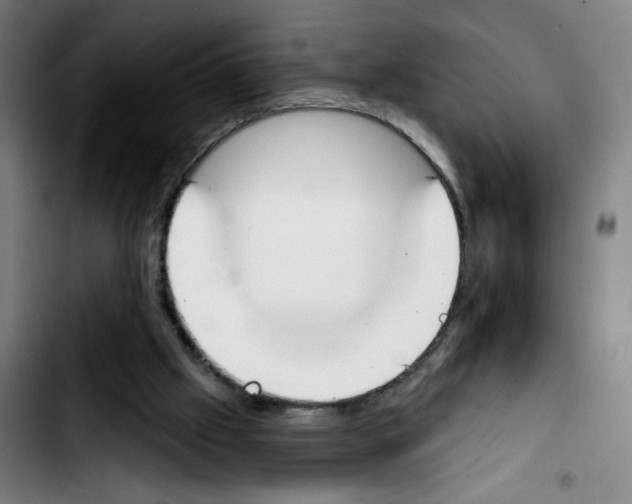 X0000103420057200810241044