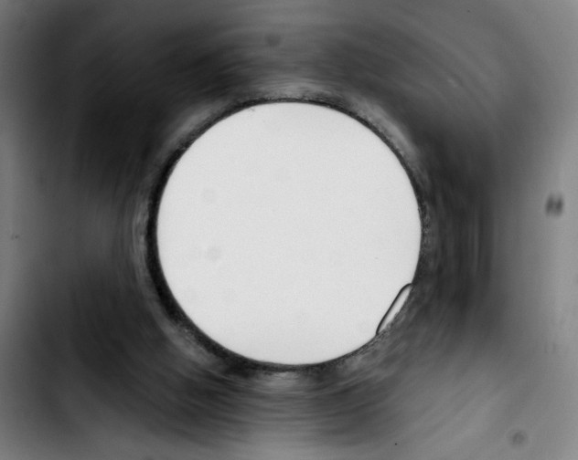 X0000103420058200810241044