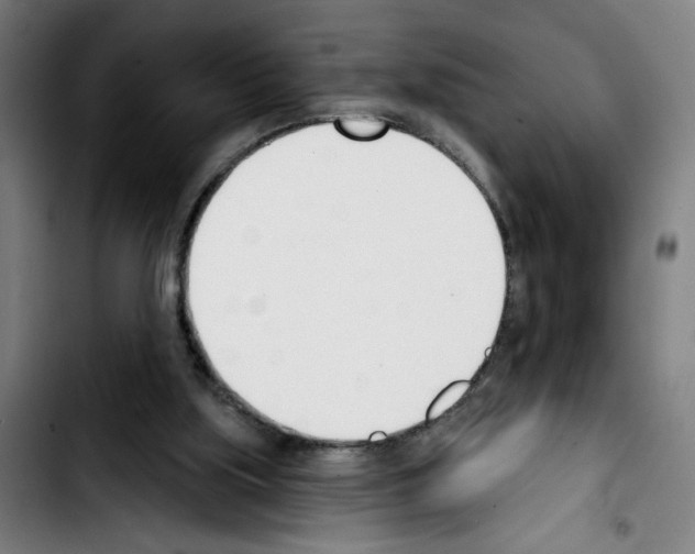 X0000103420059200810241044
