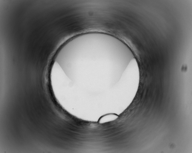 X0000103420060200810241044