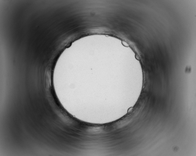 X0000103420061200810241044