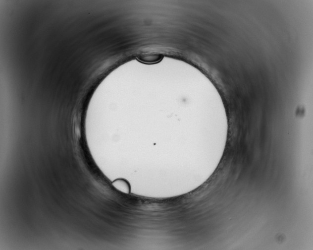 X0000103420062200810241044