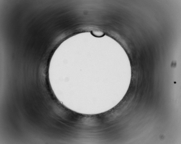 X0000103420063200810241044