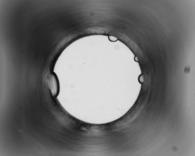 X0000103420064200810241044