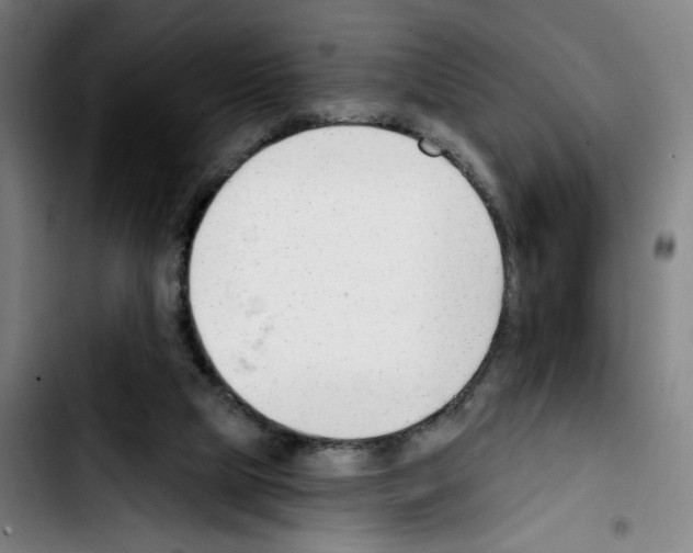 X0000103420065200810241044