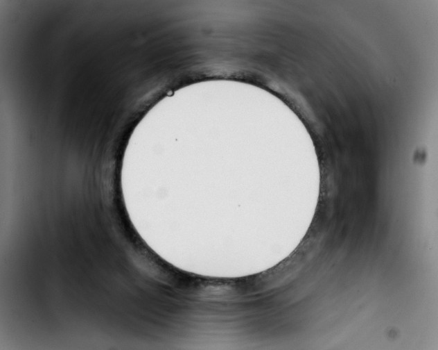 X0000103420066200810241044