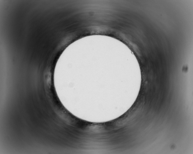 X0000103420067200810241044