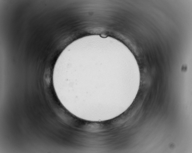 X0000103420069200810241044