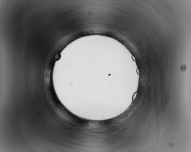 X0000103420070200810241045