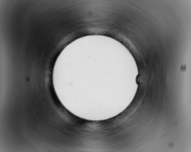 X0000103420071200810241045