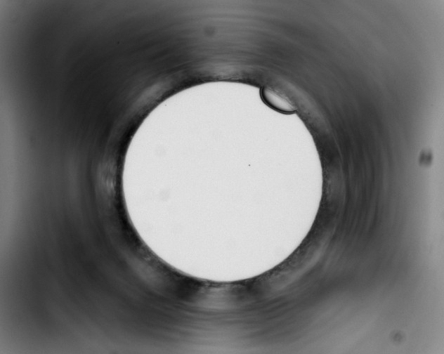 X0000103420072200810241045