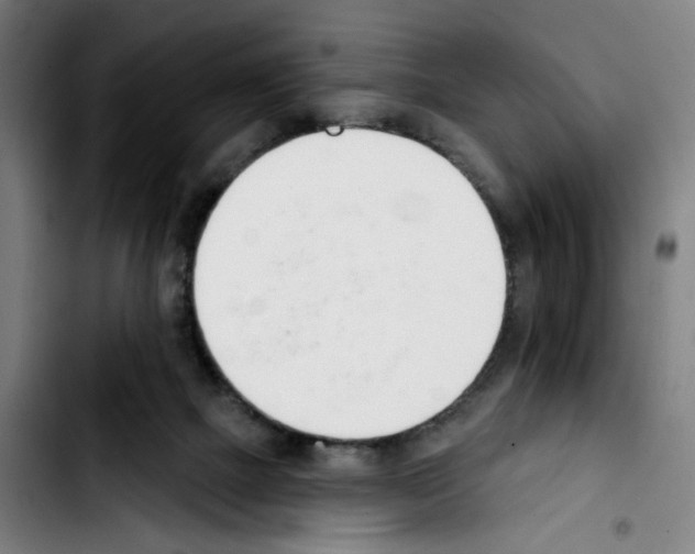 X0000103420073200810241045