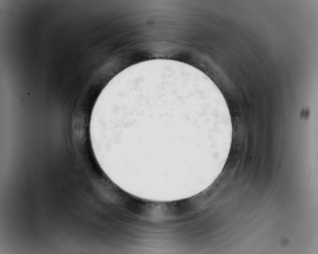 X0000103420074200810241045