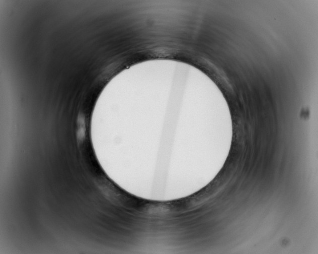 X0000103420075200810241045