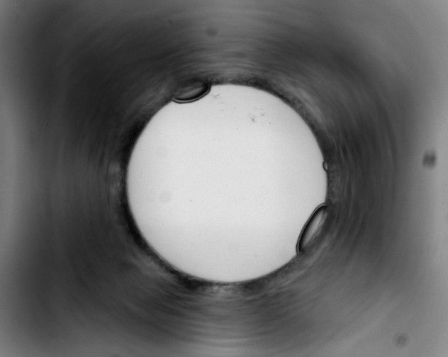 X0000103420077200810241045