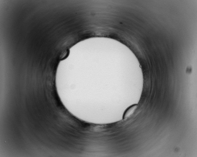 X0000103420078200810241045
