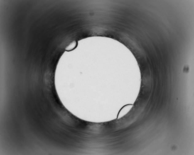 X0000103420079200810241045