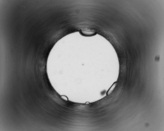X0000103420081200810241045