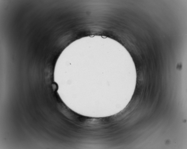 X0000103420082200810241045