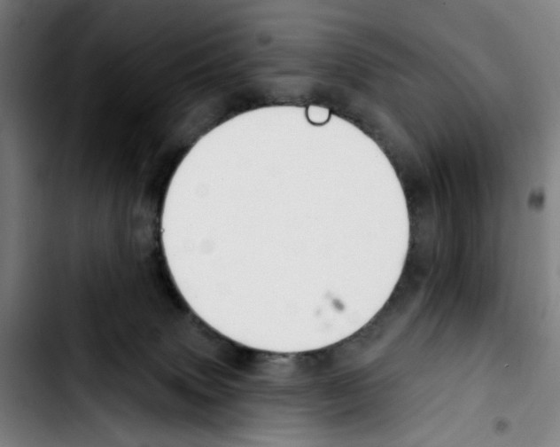 X0000103420083200810241045