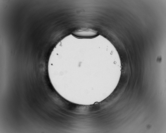 X0000103420084200810241045
