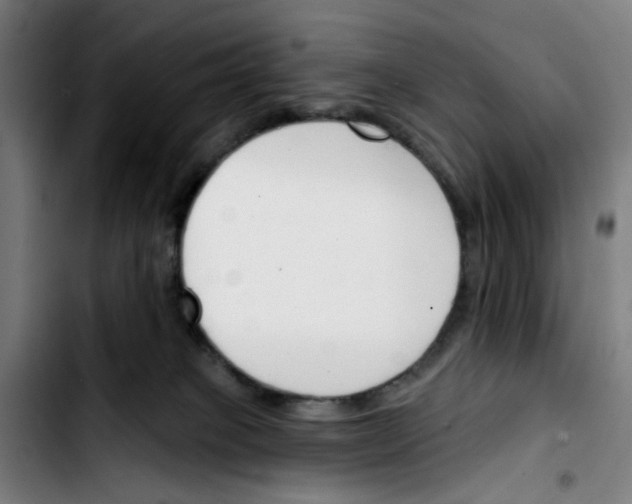 X0000103420085200810241045