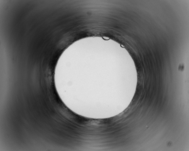 X0000103420086200810241045