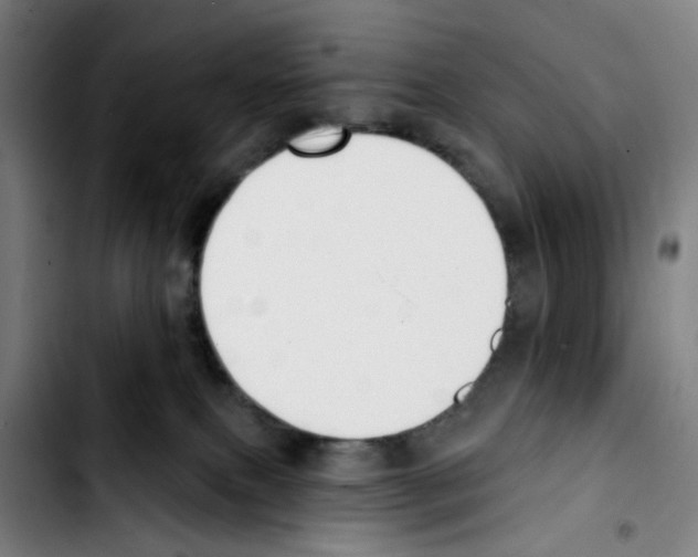 X0000103420087200810241045