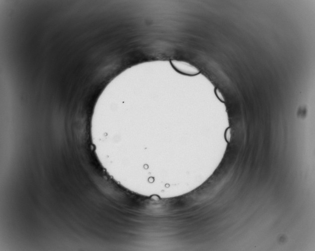 X0000103420088200810241045