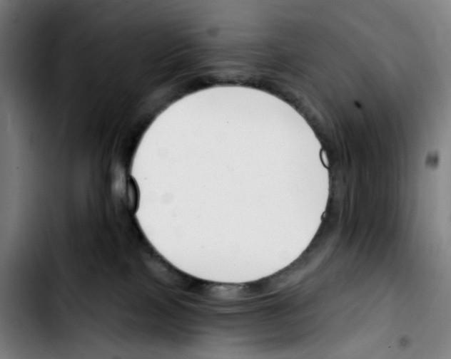 X0000103420089200810241045