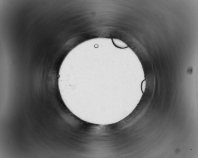X0000103420092200810241045