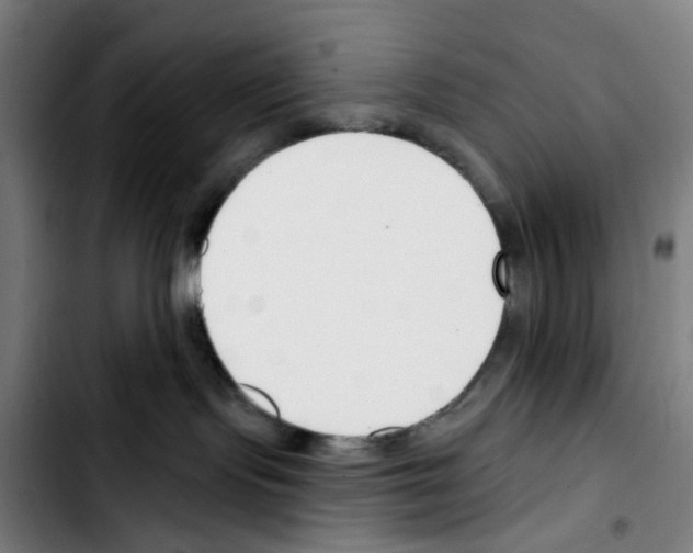 X0000103420095200810241045