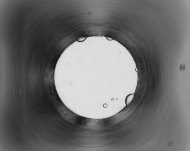 X0000103420096200810241045