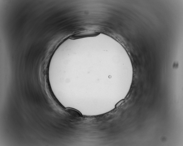 X0000103420097200810241044