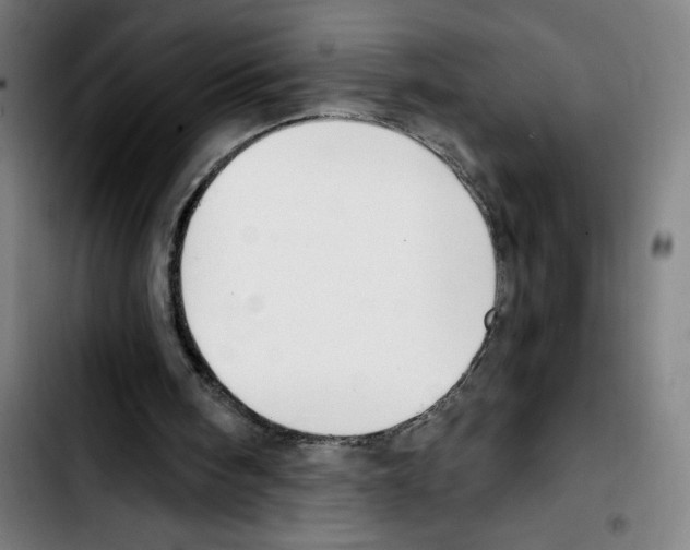X0000103420098200810241044
