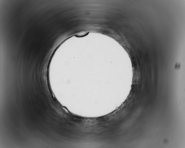 X0000103420099200810241044