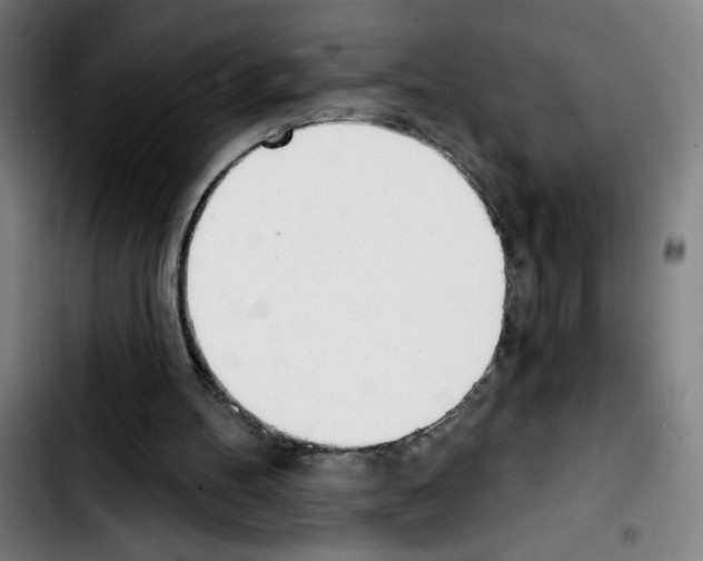 X0000103420100200810241044