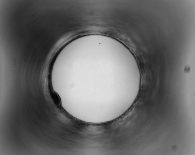 X0000103420101200810241044