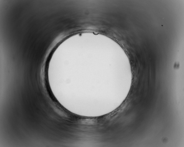 X0000103420102200810241044