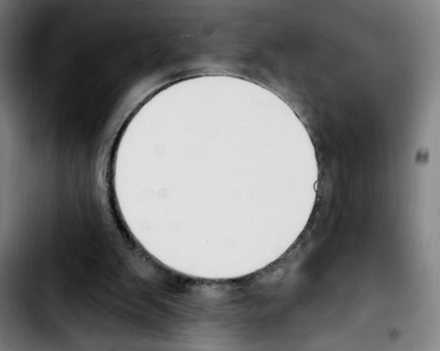 X0000103420103200810241044
