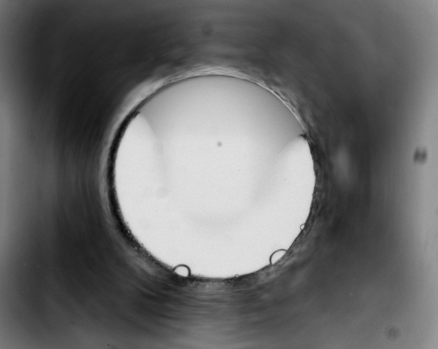 X0000103420104200810241044