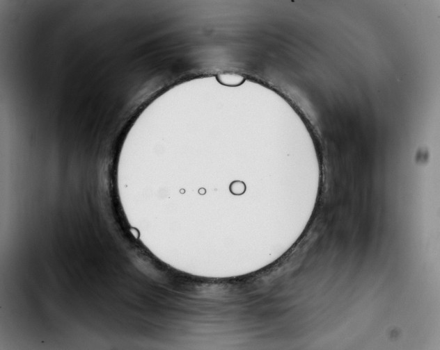 X0000103420105200810241044