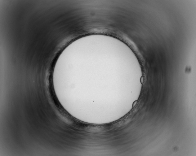 X0000103420106200810241044
