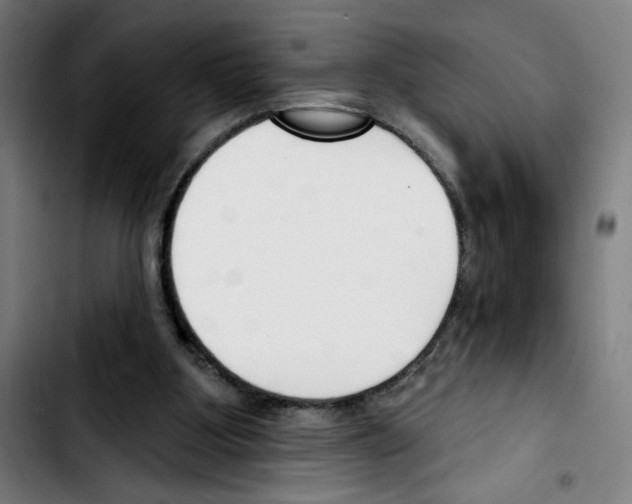 X0000103420107200810241044