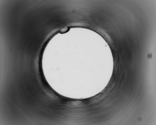 X0000103420108200810241044